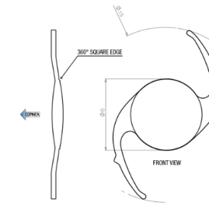 CAMELLENS Primary Lens